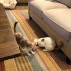 IMG_7398.jpeg
