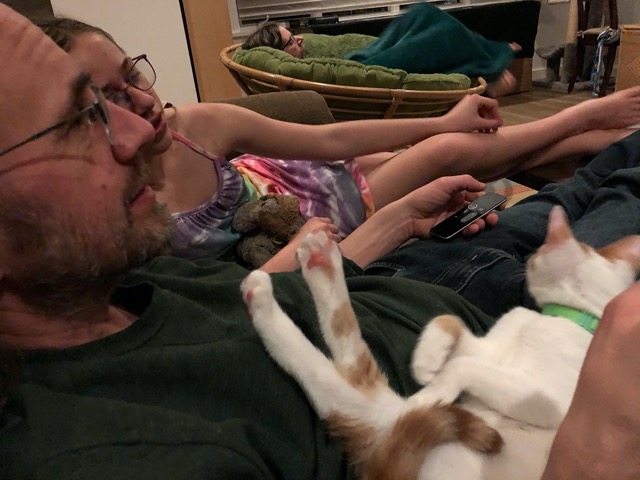 Snoozing on mike during family time