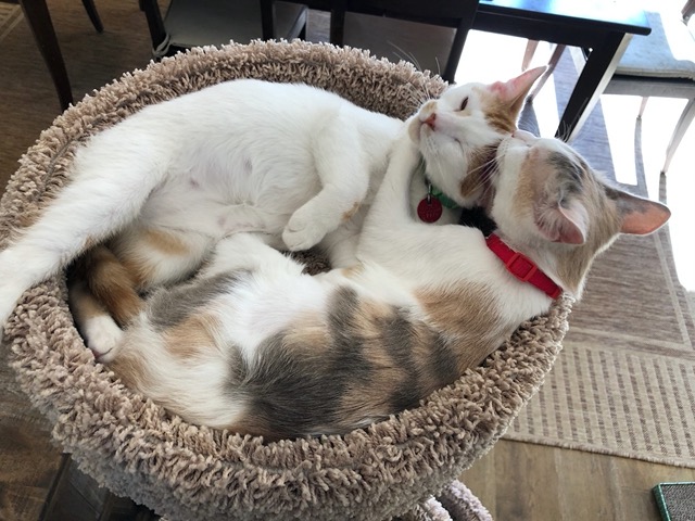 It's hard to reach the top of your head
