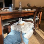 IMG_7422.jpeg