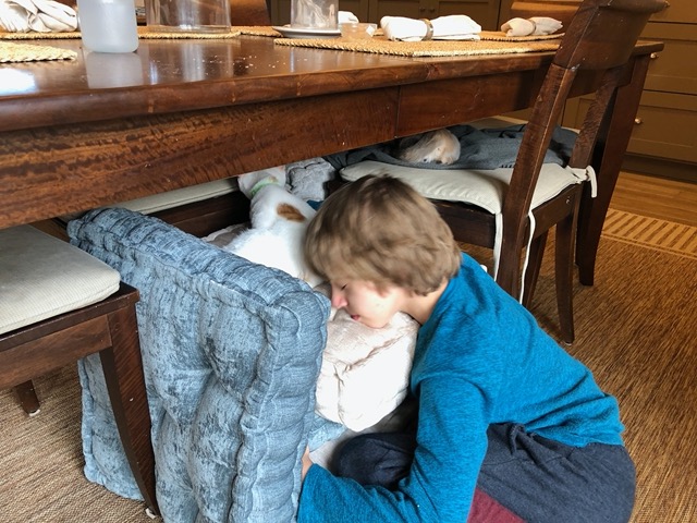 Owen follows them around, pretending to be a cat