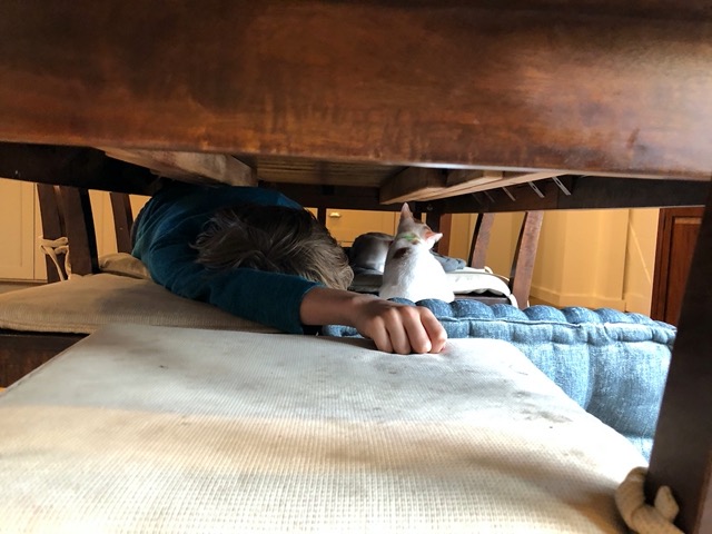 Owen pretending to be a cat