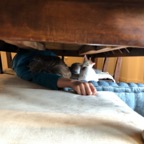 IMG_7431.jpeg