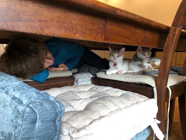 Owen relaxing with them under the table