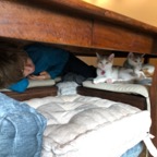 IMG_7435.jpeg