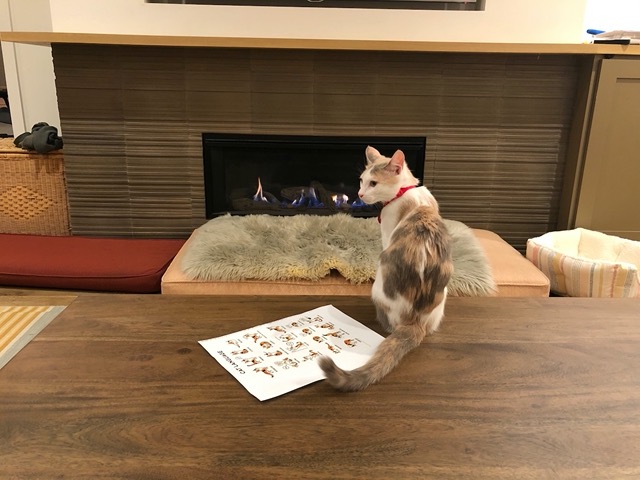 The female in front of the fire