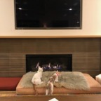 IMG_7442.jpeg
