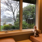 IMG_7447.jpeg