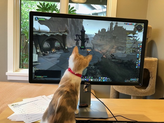 Watching the computer screen