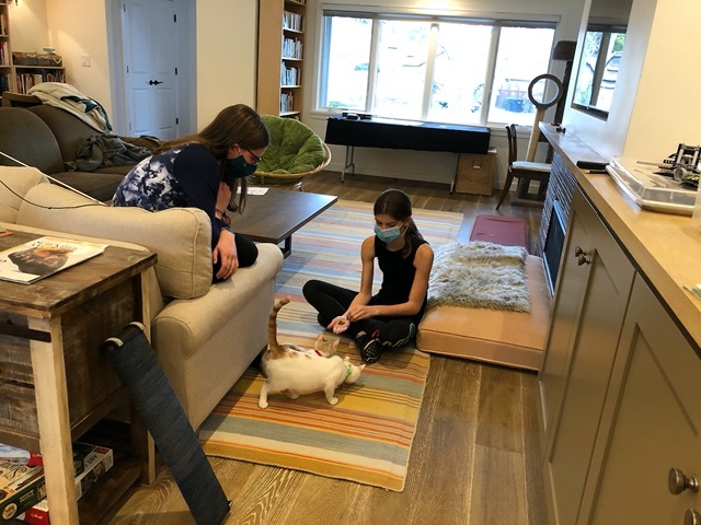 We have guests and visitors feed them treats