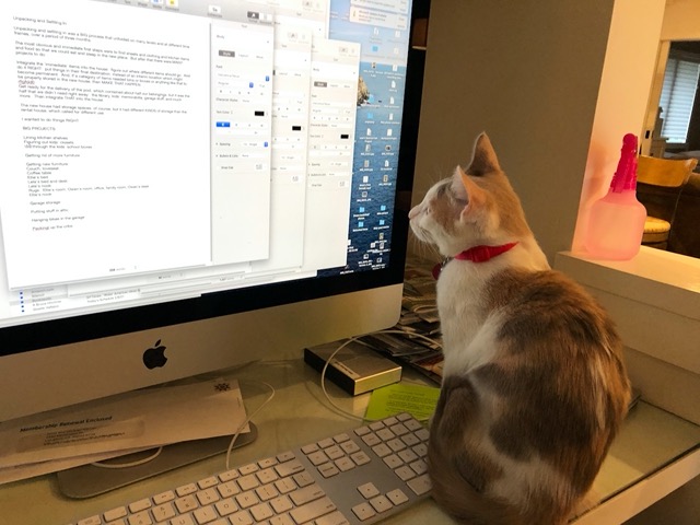 Typing is harder when a cat walks on the keyboard