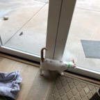 IMG_7468.jpeg