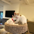 IMG_7472.jpeg