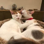 IMG_7486.jpeg