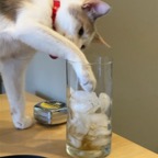 IMG_7518.jpeg