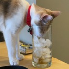 IMG_7519.jpeg