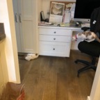 IMG_7532.jpeg
