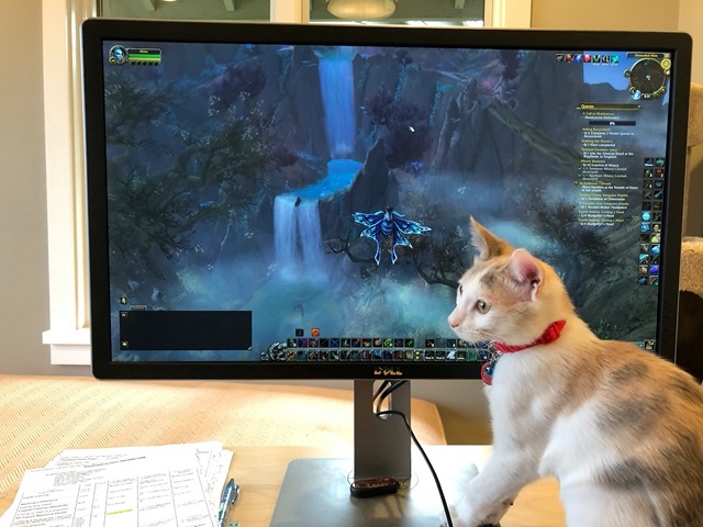 At the computer