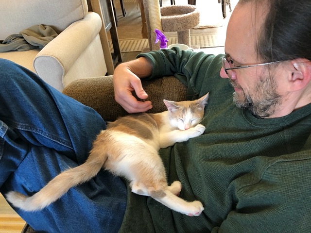 The female, relaxing in Mike's lap.  Asleep!  This is a big deal.