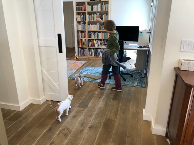 Owen with the lure toy