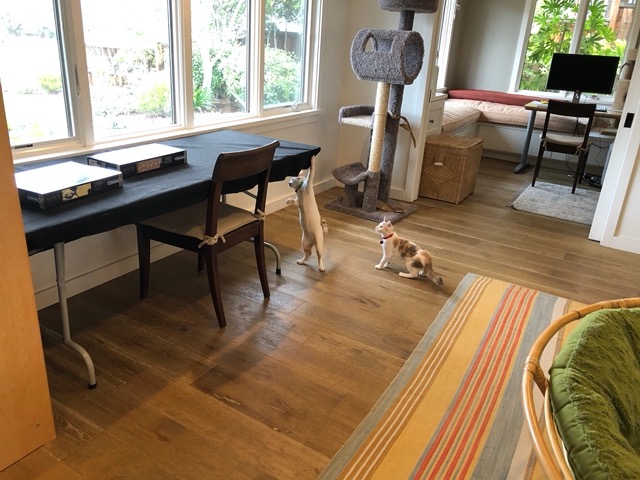 Interest in the puzzle table.  Hmm.