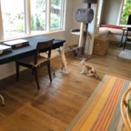 IMG_7606.jpeg