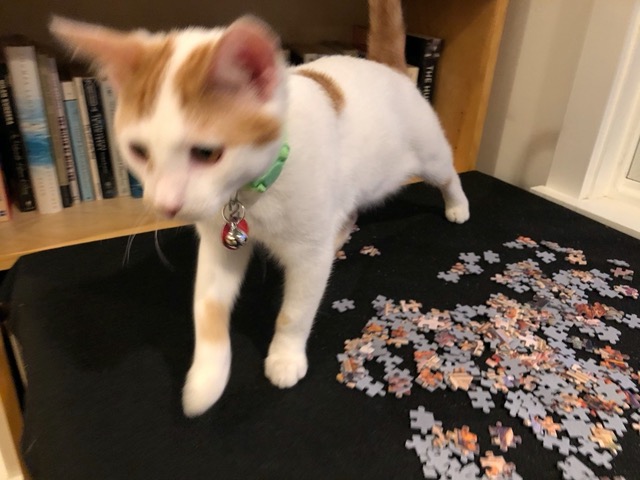 Ultimately we put the puzzle away for 6 months.