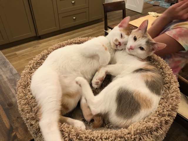 I'm glad we got two.