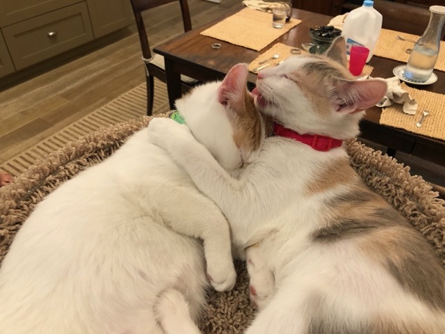 They're very good for each other.