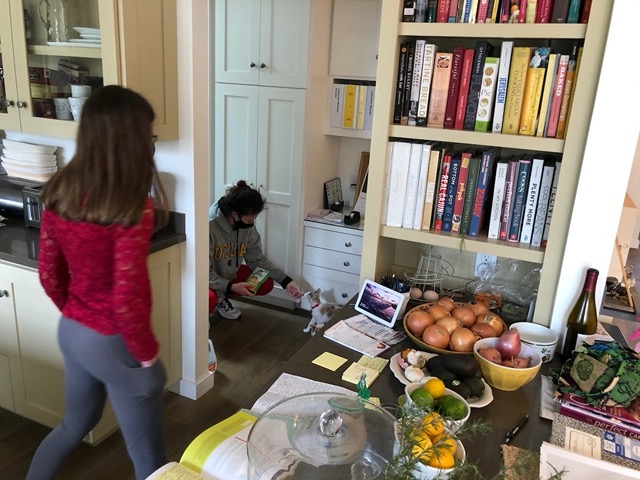 Manya came over to meet the cats