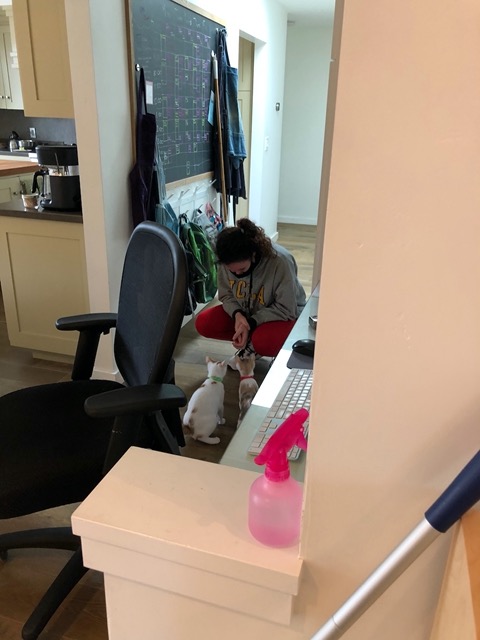 We had her give them treats so they trust visitors