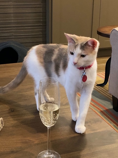 Valentine's Day champagne