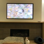 IMG_7637.jpeg