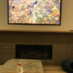 IMG_7641.jpeg