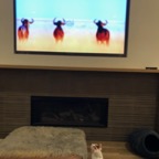 IMG_7645.jpeg
