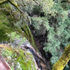 IMG_7646.jpeg