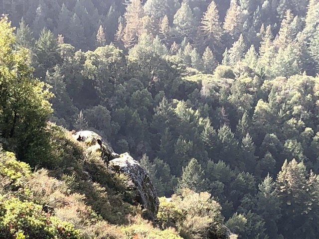 Rather a long drop down.  Also, vultures.