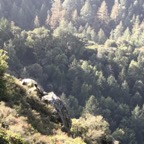 IMG_7654.jpeg