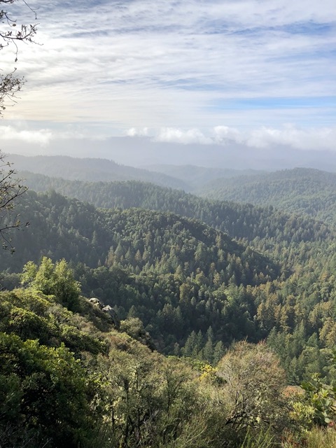 We get an idea how far we are from the ocean up here