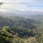 IMG_7655.jpeg