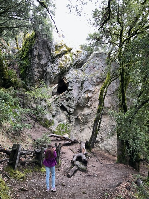 Another climbing rock.