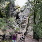 IMG_7661.jpeg