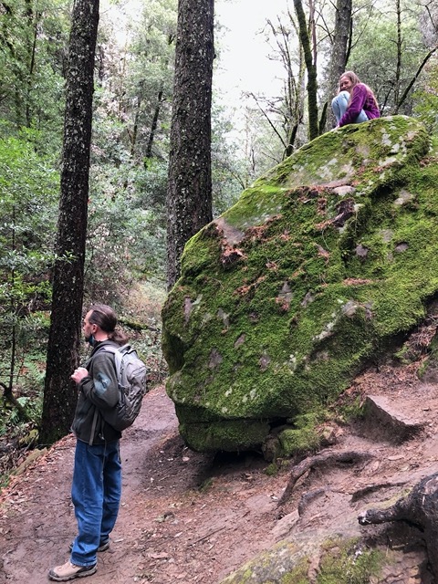 Lots of rocks to climb