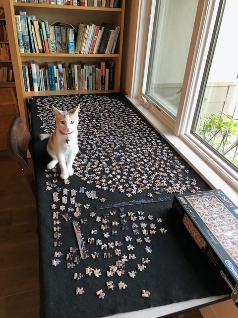 Cricket on the puzzle table.  We eventually put this away.