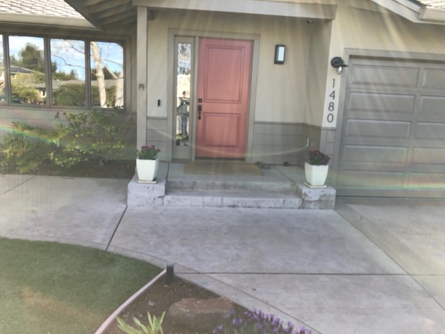 Kitties greeting us at the door