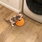 IMG_7689.jpeg