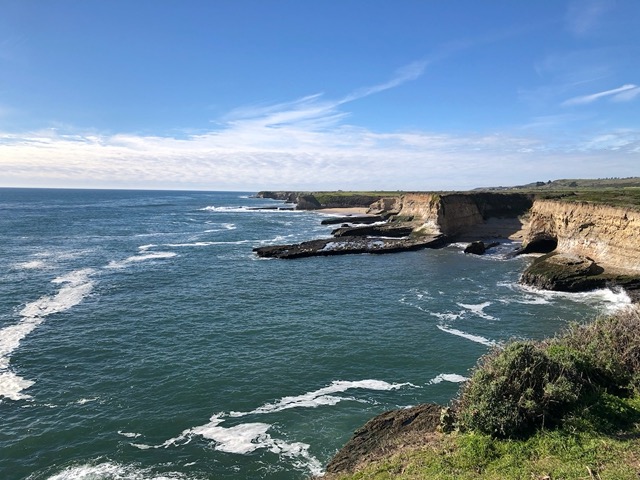 Looking north along the coast