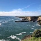 IMG_7695.jpeg