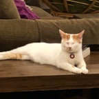 IMG_7814.jpeg