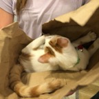 IMG_7815.jpeg
